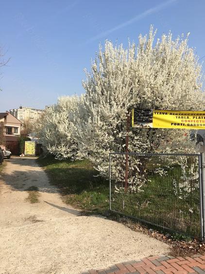Teren de 550 mp, în Vitan