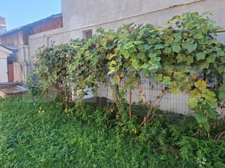 Casă individuală cu 5 camere cu Canalizare în Bucșani