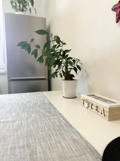 Apartament cu 2 camere decomandat în Exterior Vest