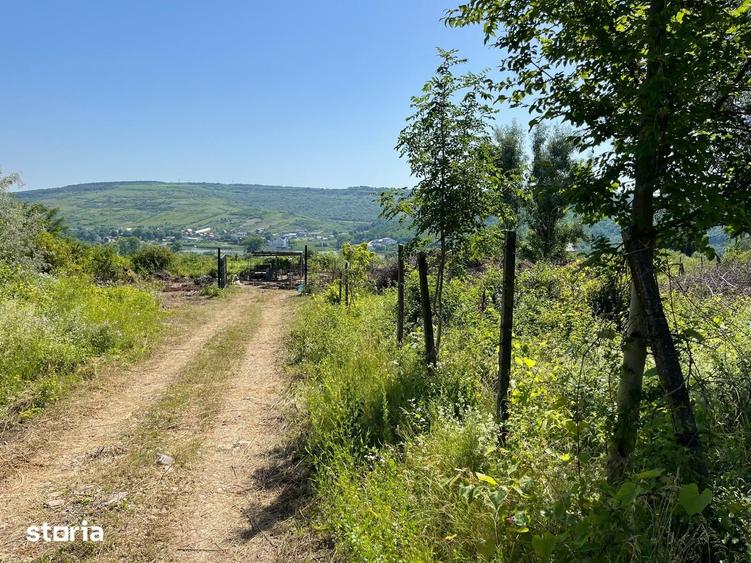 OCAZIE - DE VANZARE parcela (600 mp) TEREN INTRAVILAN SOROGARI - IASI - 2