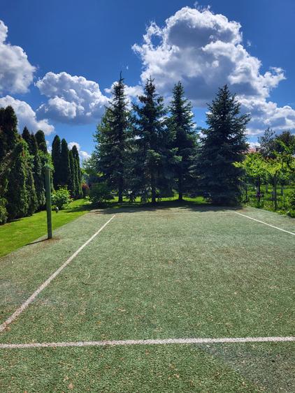 Casă individuală cu 6 camere cu Piscina în Snagov