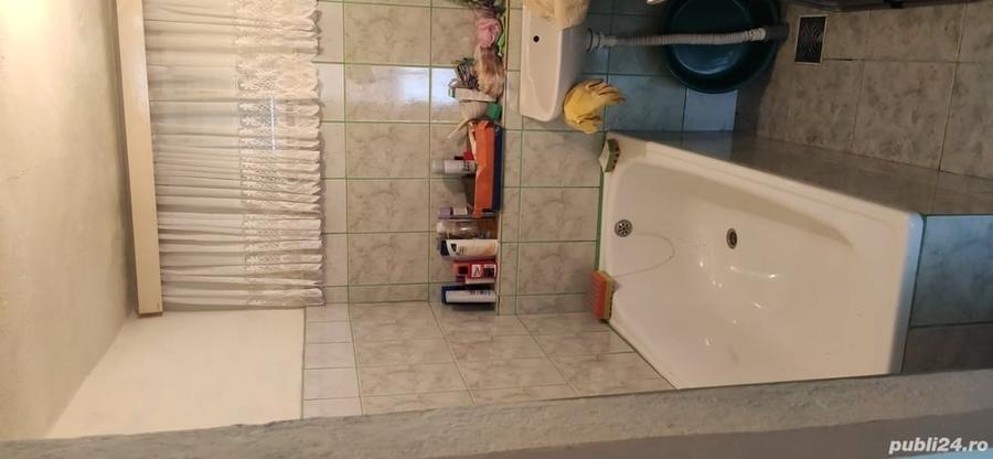 Casă cu 2 camere cu Teren 4384 Mp în Ilișua
