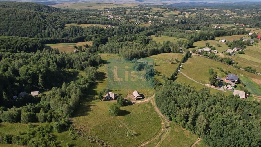 Teren de 38781 mp, în Râșca