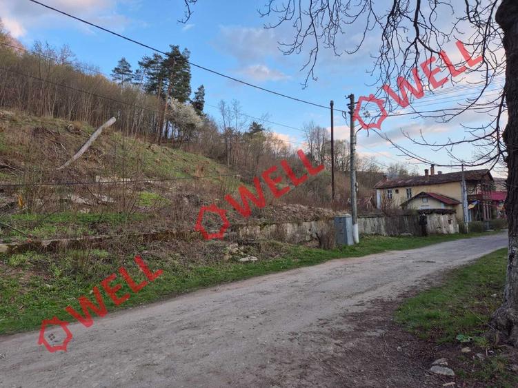 Teren Construcții intravilan de 2642 mp, în Vâlcele