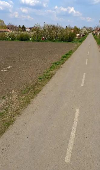 Teren de 2000 mp, în Bălanu