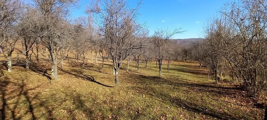 Teren de 3239 mp, în Șotrile