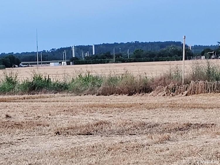 Teren de 11000 mp, în Dridu