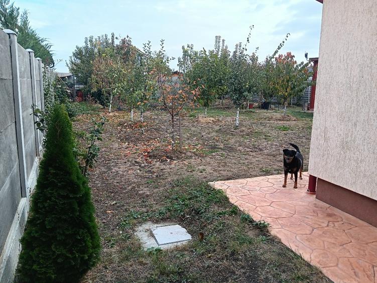 Casă individuală cu 3 camere cu Teren 700 Mp în Sânandrei