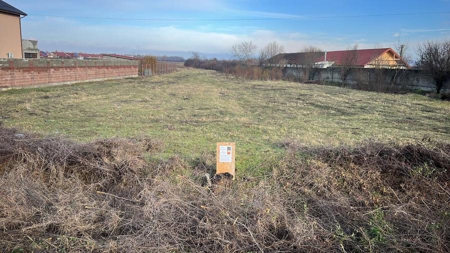 Teren Construcții intravilan de 2492 mp, în Bucovăț (Remetea Mare)