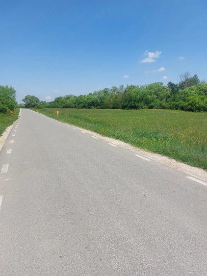 Teren de 8000 mp, în Felcheriu
