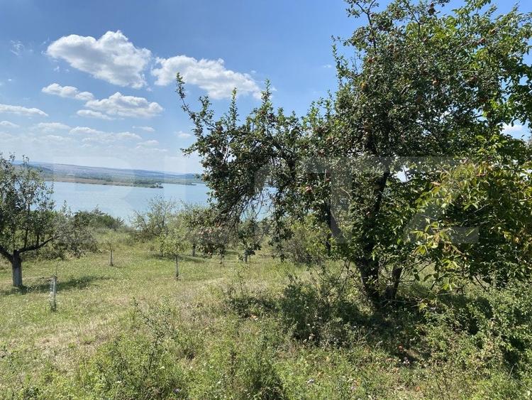 Teren agricol extravilan de 3800 mp, în Recea