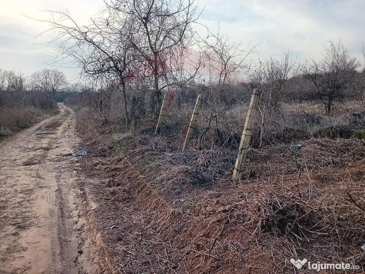 Teren de 2301 mp, în Cârcea