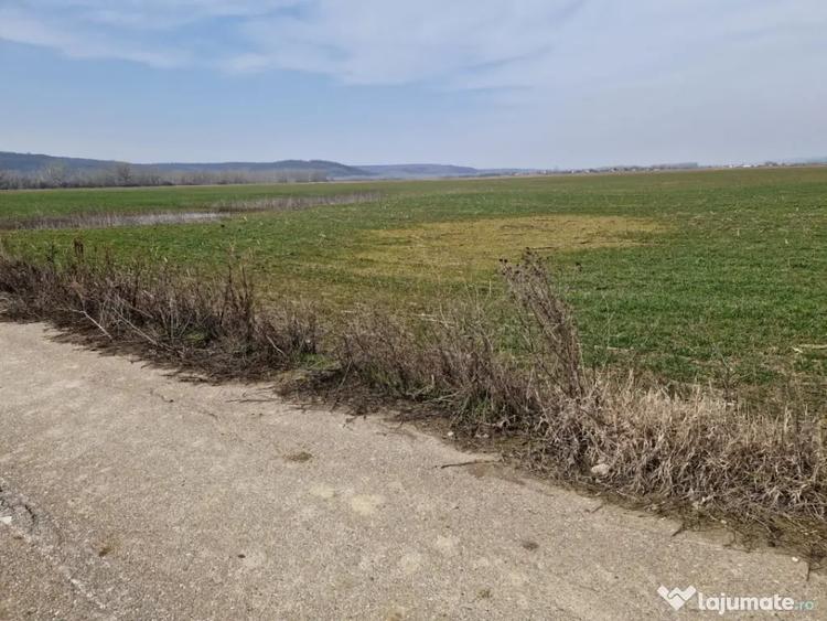 Teren în Șimnicu de Sus