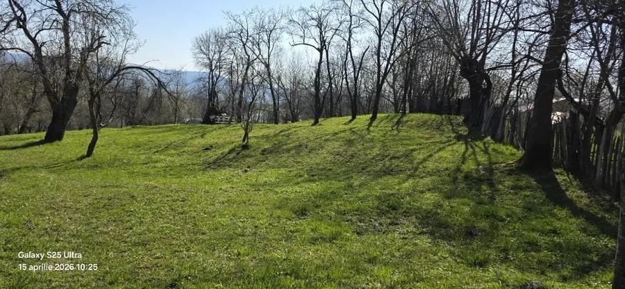 Teren de 2000 mp, în Talea