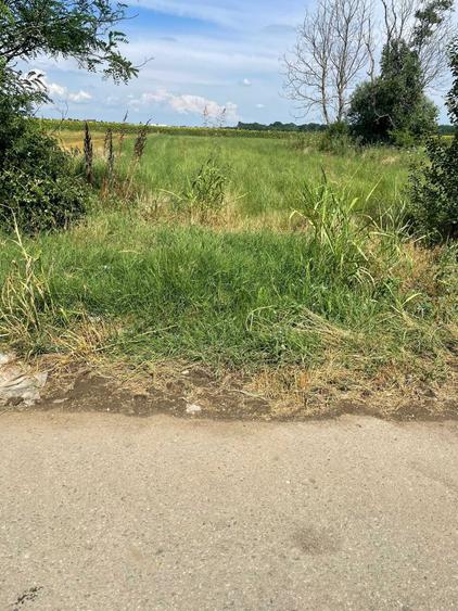 Teren de 800 mp, în Valea Dragului