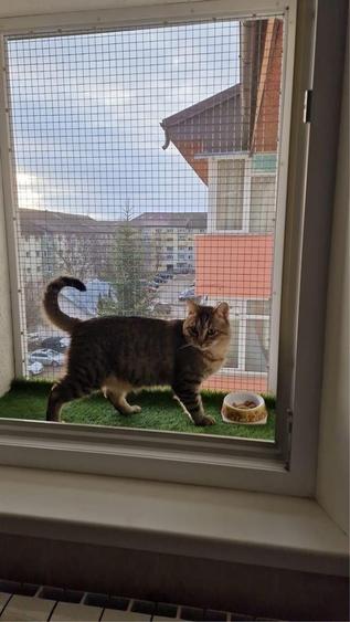 Apartament cu 3 camere decomandat în Obcini