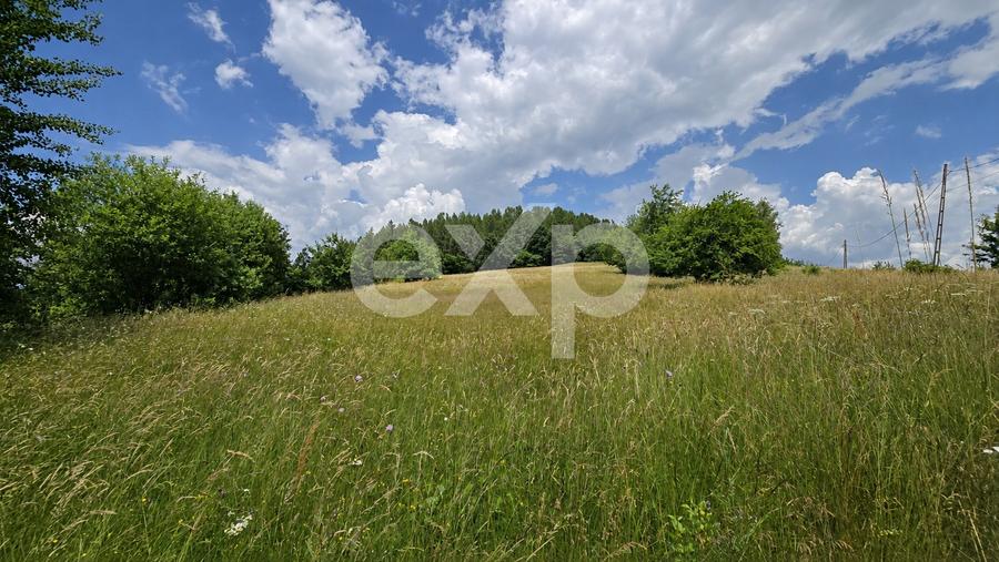 Teren agricol extravilan de 11368 mp, în Poiana Mărului