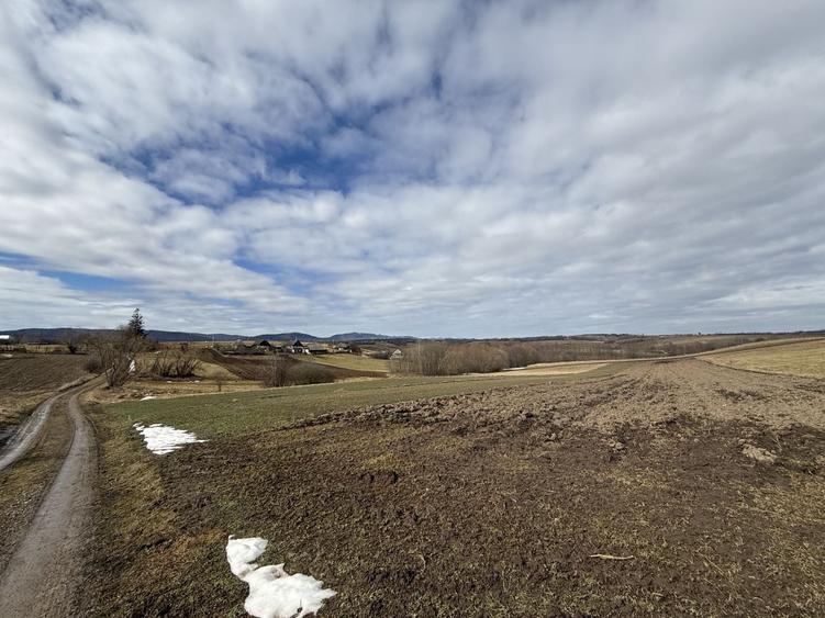Teren Construcții intravilan de 1556 mp, în Horodnic de Jos