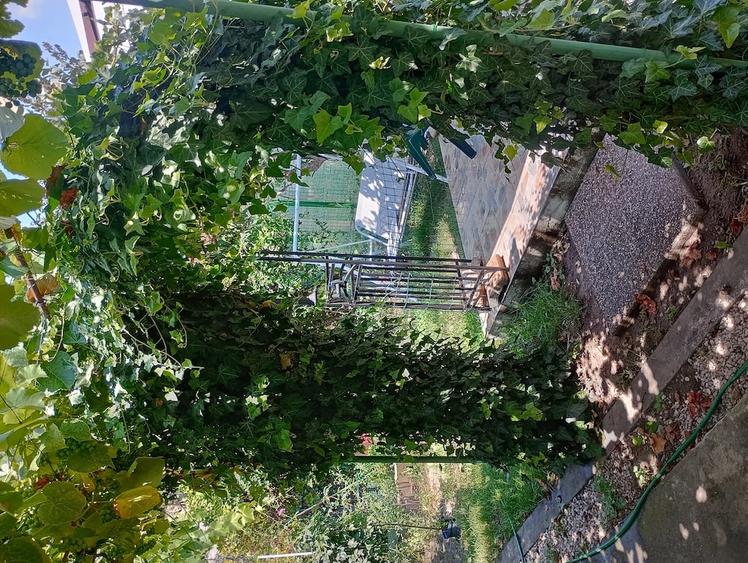 Apartament cu 3 camere semidecomandat în Șagului