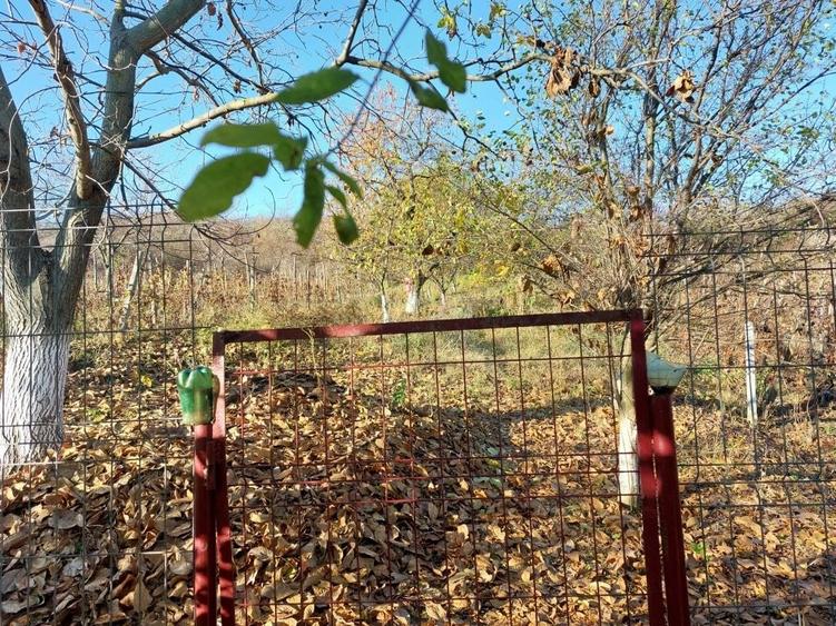 Casă cu 3 camere în Călina
