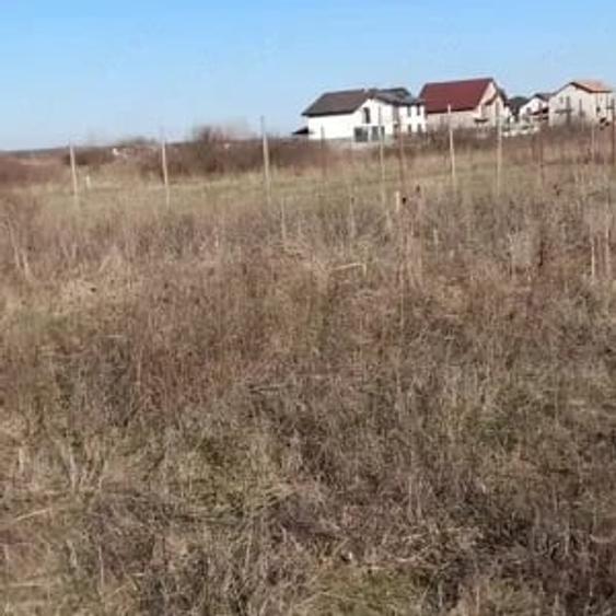 Teren de 1000 mp, în Moșnița Nouă