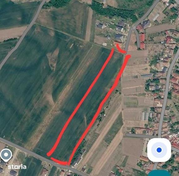 Teren de 10000 mp, în Borș