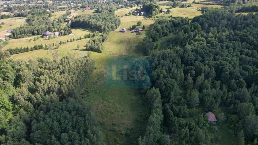 Teren de 38781 mp, în Râșca
