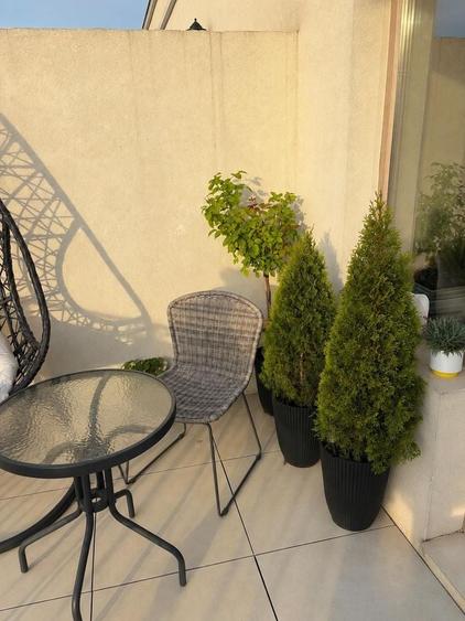 Apartament cu 2 camere decomandat, mobilat în Ferdinand