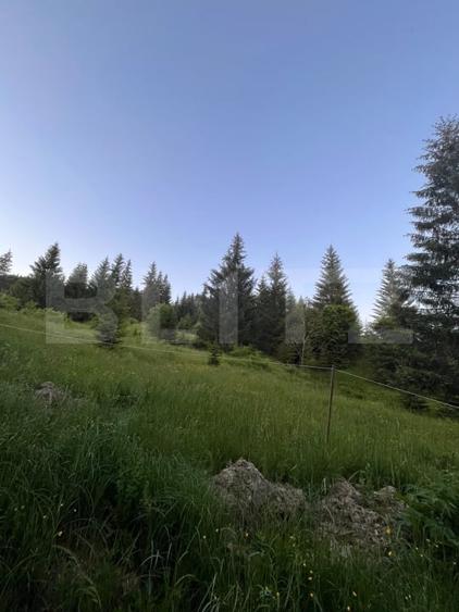 Teren Construcții intravilan de 1000 mp, în Exterior Est