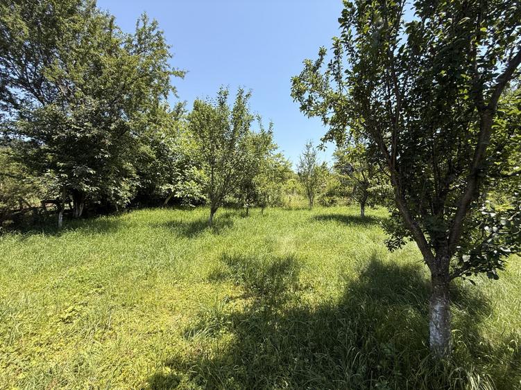 Casă cu 5 camere cu Teren 2146 Mp în Lerești
