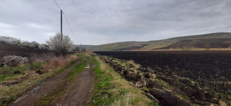 Teren agricol extravilan de 119500 mp, în Iris