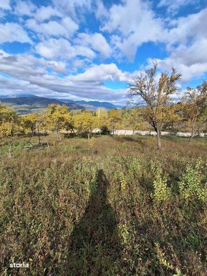 Teren de 6800 mp, în Berislăvești
