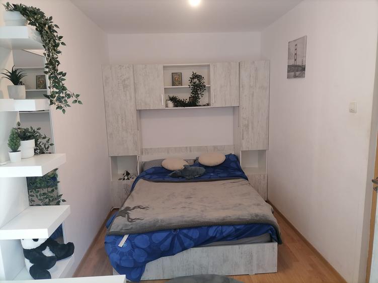 Apartament cu 2 camere nedecomandat în Brotăcei