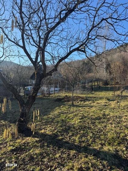 Casă cu 4 camere în Valea Neagră