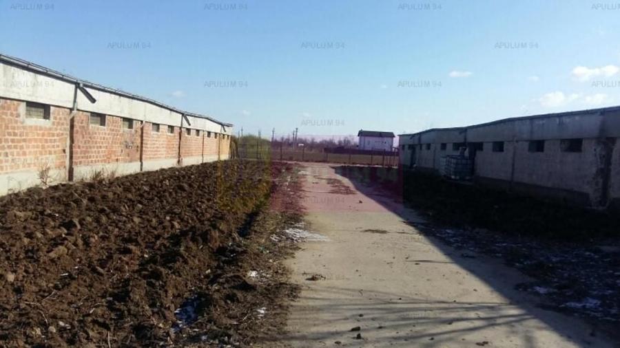 Teren Construcții intravilan de 15750 mp, în Balotești