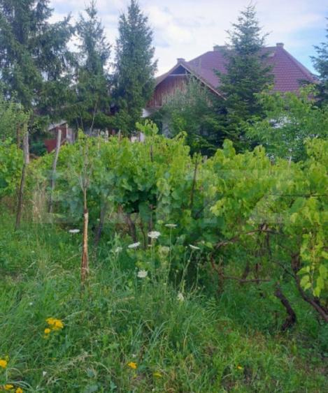 Casă cu 4 camere cu Teren 7729 Mp în Central