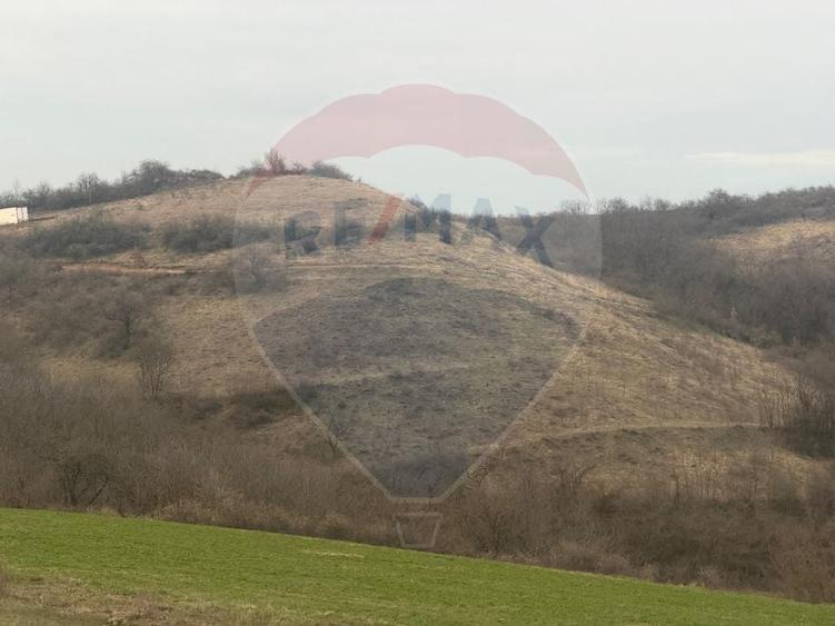 Teren agricol extravilan de 18800 mp, în Crișeni