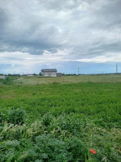 Teren de 422 mp, în Curtișoara
