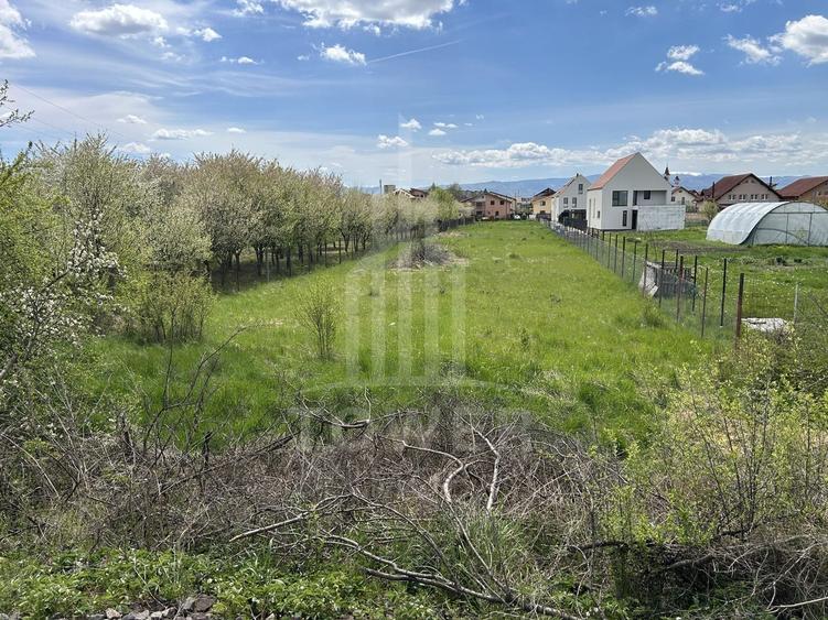 Teren Construcții intravilan de 2400 mp, în Tineretului
