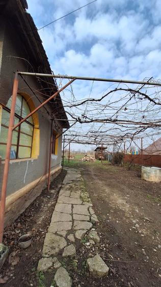 Casă individuală cu 3 camere cu Teren 1000 Mp în Teremia Mare