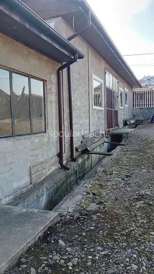Vand casa in Tarpesti cu spatiu comercial la parter