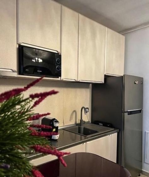 Apartament cu 2 camere semidecomandat, mobilat în Bucureștii Noi