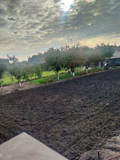 Teren de 630 mp, în Șofronea