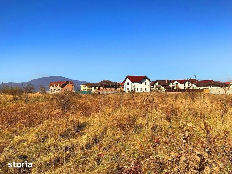 Teren de 6000 mp, în Ghimbav