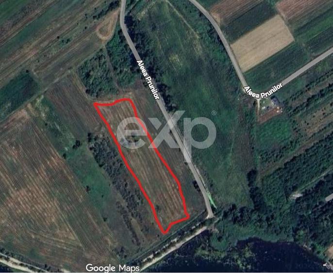 Teren agricol extravilan de 20000 mp, în Budeasa Mare