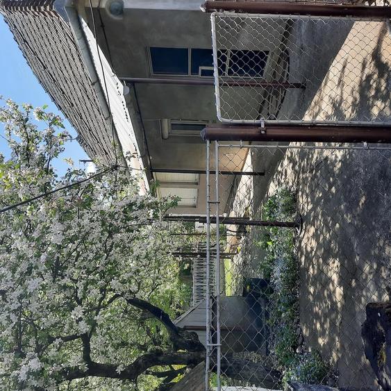 Casă cu 3 camere cu Teren 1350 Mp în Sărmașu