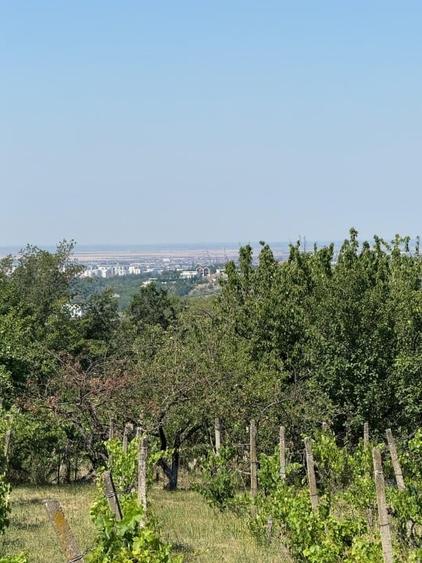 Teren Construcții intravilan de 3025 mp, în Dealuri Oradea