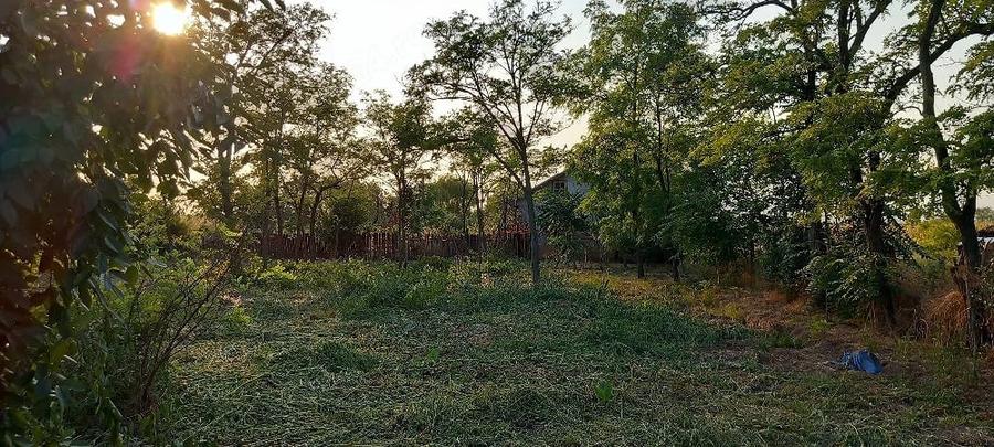 Casă cu Teren 1800 Mp în Central