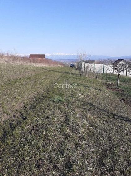 Teren intravilan Sura Mare 550mp