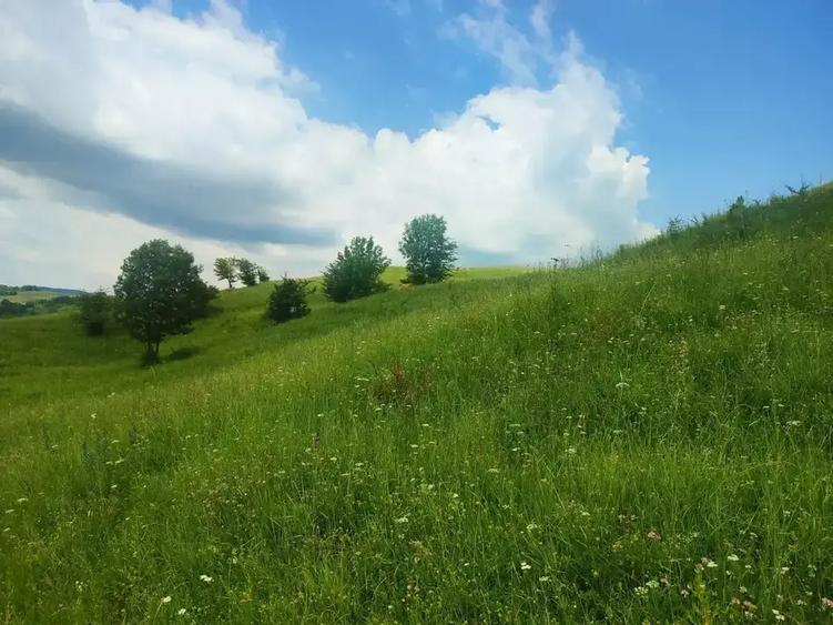 Teren intravilan de 46800 mp, în Gura Beliei